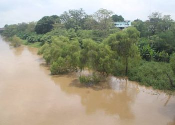Conagua alerta sobre incremento en niveles de ríos en Tabasco por lluvias intensas