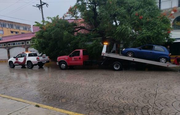 IMOVEQROO activa Operativo Tormenta en Quintana Roo ante el paso de “Helene”