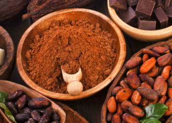 Nuevo gobierno preparado para el Festival del Chocolate: Vélez