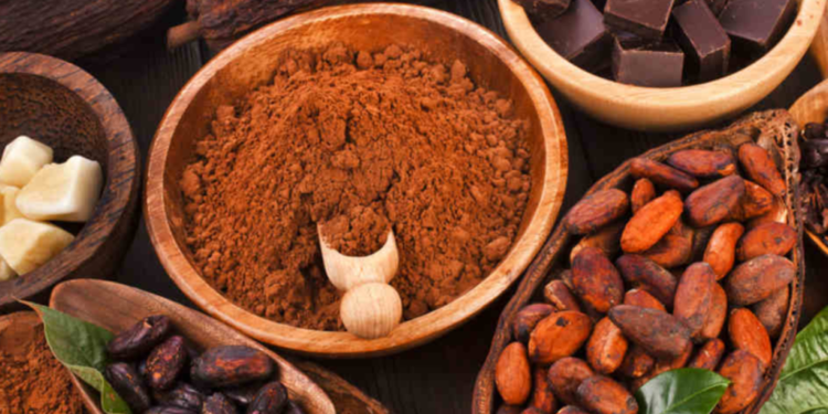 Nuevo gobierno preparado para el Festival del Chocolate: Vélez