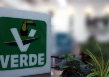 PVEM Tabasco tendrá nuevo dirigente este lunes