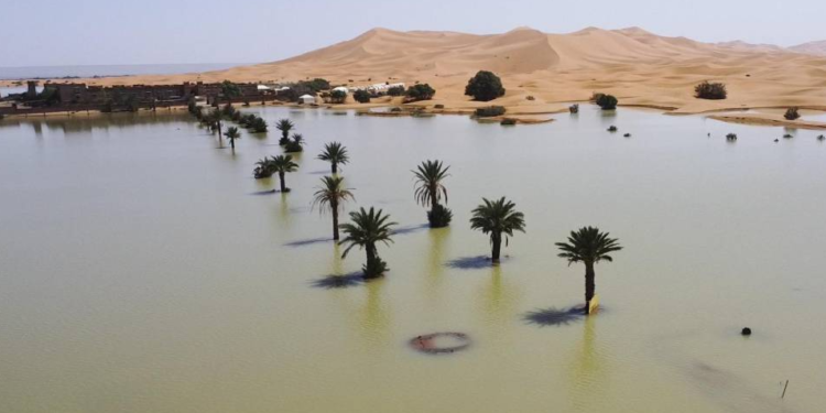 Tras las últimas lluvias intensas, el desierto del Sáhara está mostrando señales de una transformación ecológica