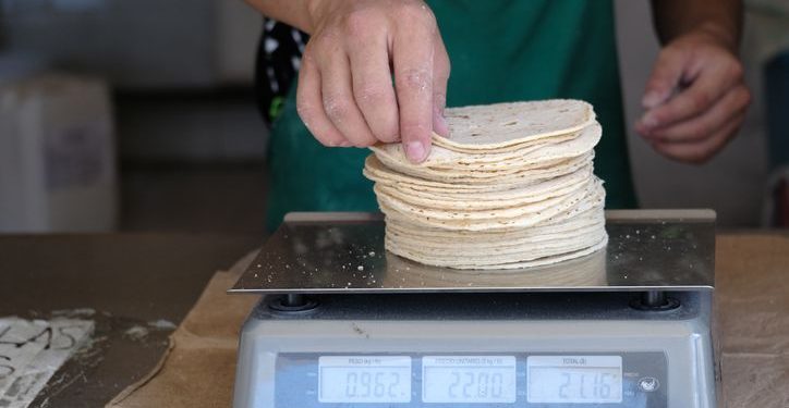 Aumento en insumos podría elevar el precio de la tortilla en Quintana Roo