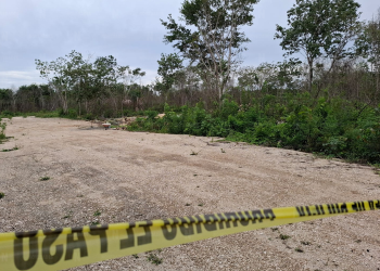 Asesinan a un persona en la colonia irregular San Pedro, Cancún