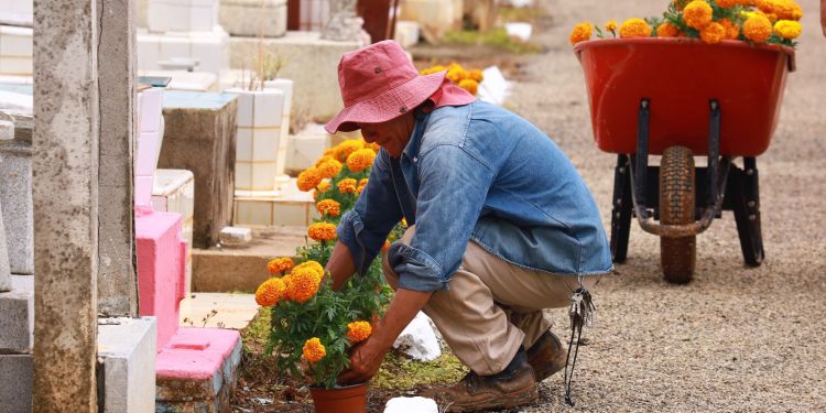 Preparados los panteones de Centro para recibir a visitantes por Día de Muertos