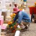 Preparados los panteones de Centro para recibir a visitantes por Día de Muertos