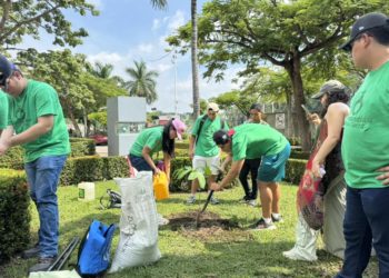 Movimiento Comprometidos con la Tierra siembra más de 350 árboles en Villahermosa