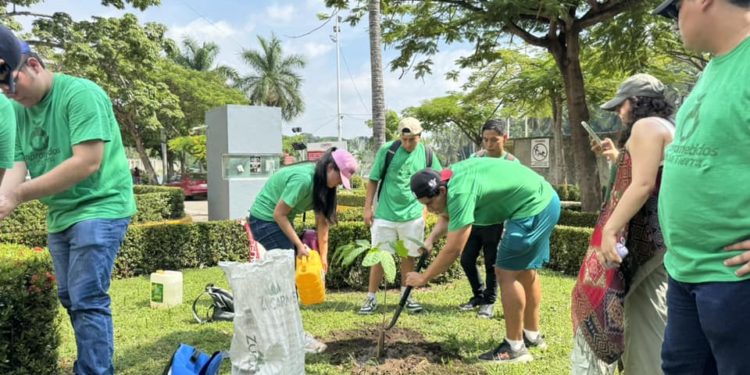 Movimiento Comprometidos con la Tierra siembra más de 350 árboles en Villahermosa