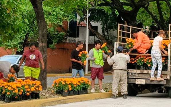Embellecen Avenidas de Villahermosa con Flores de Cempasúchil para el Día de Muertos