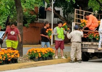 Embellecen Avenidas de Villahermosa con Flores de Cempasúchil para el Día de Muertos
