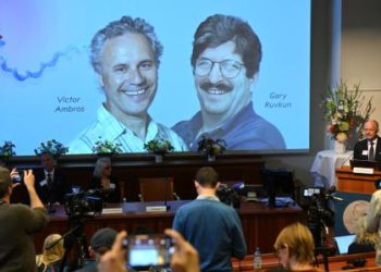 Los científicos estadunidenses Victor Ambros y Gary Ruvkun ganaron el Nobel de Medicina 2024