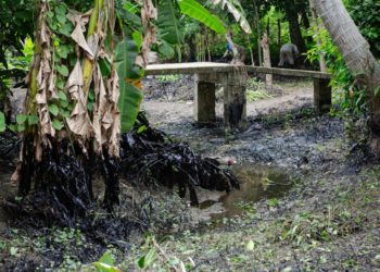 Derrame de hidrocarburos en Papantla, Veracruz; afecta la vida de las comunidades indígenas