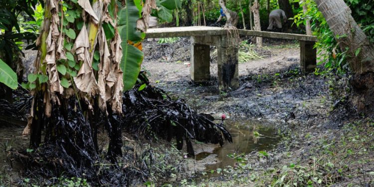 Derrame de hidrocarburos en Papantla, Veracruz; afecta la vida de las comunidades indígenas