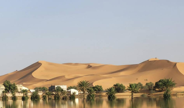 Tras las últimas lluvias intensas, el desierto del Sáhara está mostrando señales de una transformación ecológica