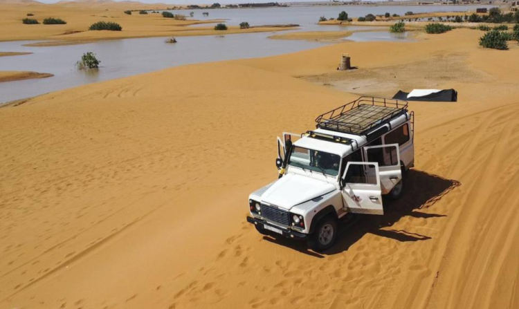 Tras las últimas lluvias intensas, el desierto del Sáhara está mostrando señales de una transformación ecológica