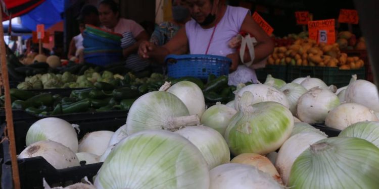 Aumento del 50% en el precio de verduras por calor extremo y lluvias en Tabasco