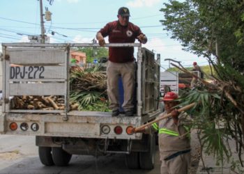 Ordenan despliegue de 15 brigadas de limpieza en Benito Juárez