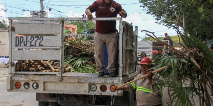 Ordenan despliegue de 15 brigadas de limpieza en Benito Juárez