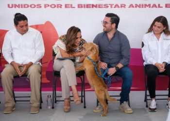 Promueve Mara Lezama en Solidaridad, el bienestar animal con Jornada de Adopción Responsable de mascotas, con tutela y compromiso social