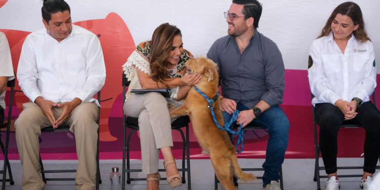 Promueve Mara Lezama en Solidaridad, el bienestar animal con Jornada de Adopción Responsable de mascotas, con tutela y compromiso social