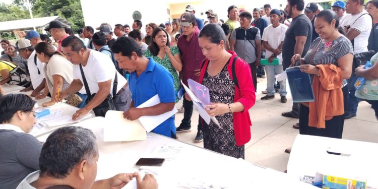 Más de mil beneficiarias y beneficiarios en el programa Desarrollo Frutícola en Quintana Roo: SEDARPE