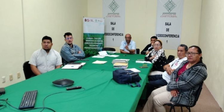 SEMA y ECOSUR imparten curso-taller “Identificación de árboles: Técnicas prácticas y efectivas”