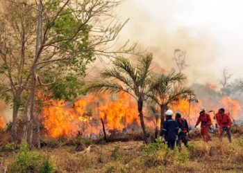 Incendios forestales en Bolivia supera los 10.1 millones de hectáreas devastadas