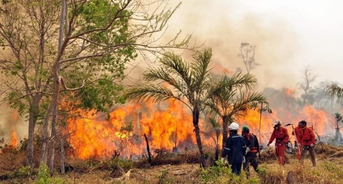 Incendios forestales en Bolivia supera los 10.1 millones de hectáreas devastadas