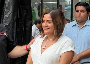 Marca «ArteSano» no pertenece al gobierno: Directora del IFAT