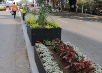 Morena respalda consulta sobre retiro de jardineras en Paseo Tabasco
