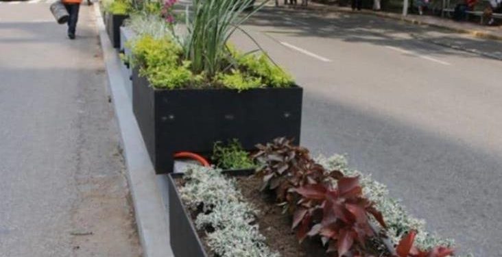 Morena respalda consulta sobre retiro de jardineras en Paseo Tabasco