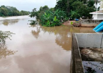 Protección Civil asegura que niveles de ríos en Tabasco no representan riesgos