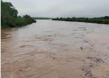 Reporta Conagua desbordamiento de cinco ríos en Tabasco