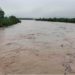 Reporta Conagua desbordamiento de cinco ríos en Tabasco