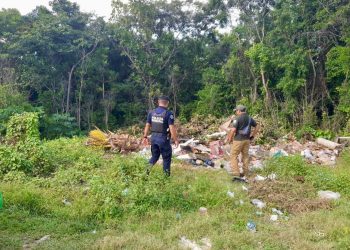 Unidades verdes muestran resultados tangibles