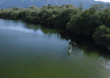 Alerta por niveles del río San Pedro en Tabasco
