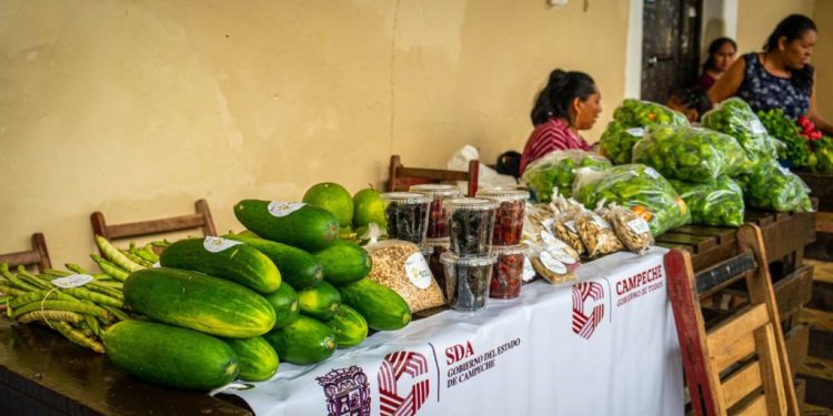 Llega a Escárcega Tercera Feria de Productos Agropecuarios 2024 «Lo mejor del campo»