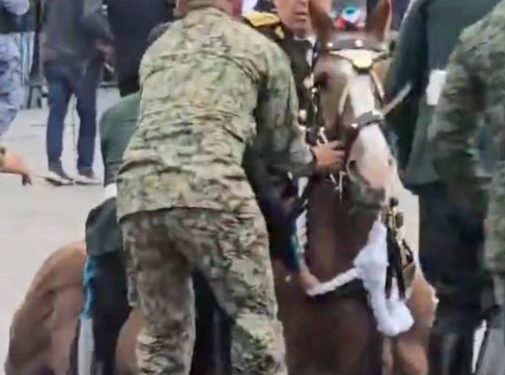Video se hizo viral en redes sociales donde durante el desfile del Aniversario 114 de la Revolución Mexicana un caballo sufre una caída