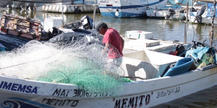 En Progreso impulsan fortalecer el sector pesquero