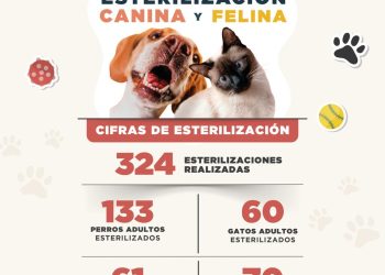 Impulsa Ana Paty Peralta exitosa campaña de esterilización