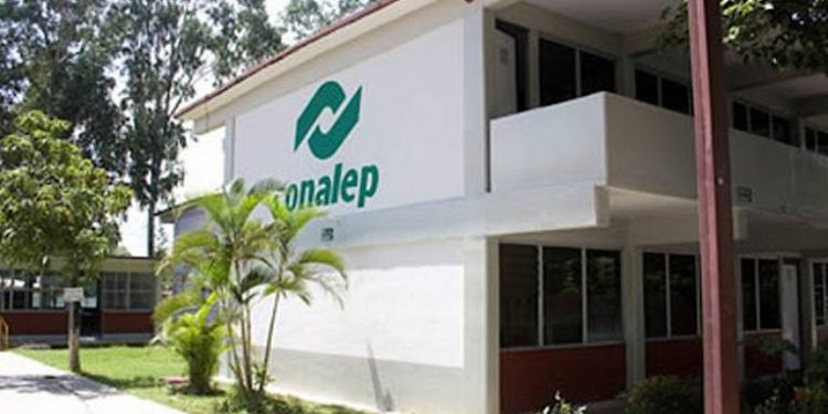 Conalep Tabasco resguardará planteles con seguridad privada durante vacaciones