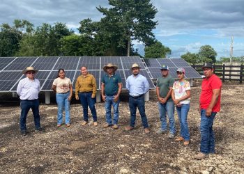 Avanza tecnificación del campo en la Zona Maya de Quintana Roo: SEDARPE