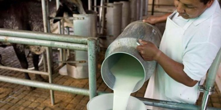 Tabasco contará con tres centros de acopio de leche para impulsar producción local