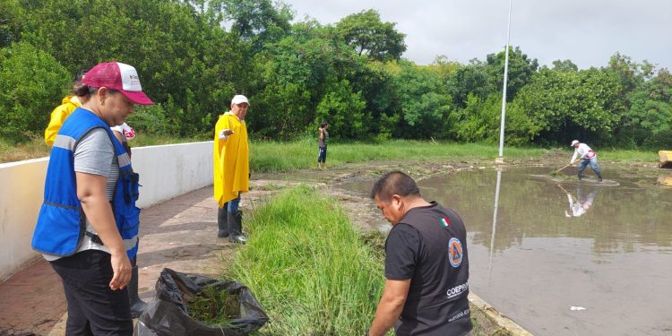 Realiza la COEPROC acciones de limpieza en el sur del estado en coordinación con SEOP