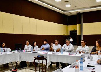 Transparencia y participación ciudadana en la gestión de proyectos estratégicos: AGEPRO