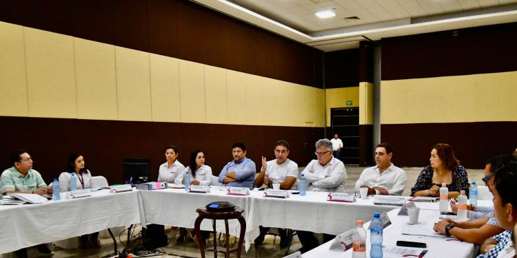 Transparencia y participación ciudadana en la gestión de proyectos estratégicos: AGEPRO