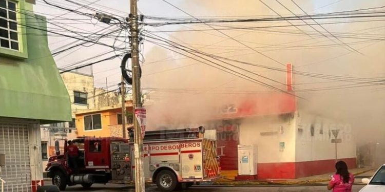 Vecinos de la colonia Municipal denuncian malos olores y plagas tras incendio de abarrotera