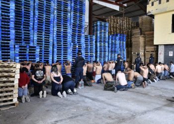 Capturan a una banda criminal y rescatan a varios animales exóticos en Edomex