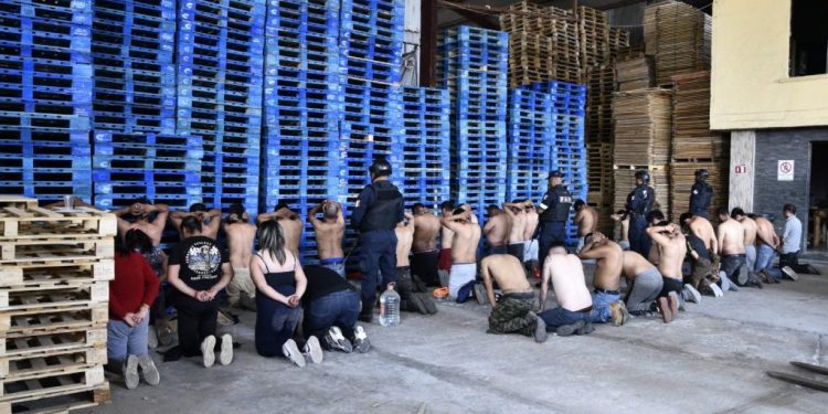 Capturan a una banda criminal y rescatan a varios animales exóticos en Edomex