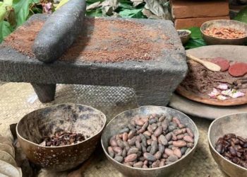 SEDEC analiza extensión del Festival del Chocolate en Comalcalco para 2025